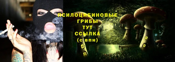 герыч Аркадак