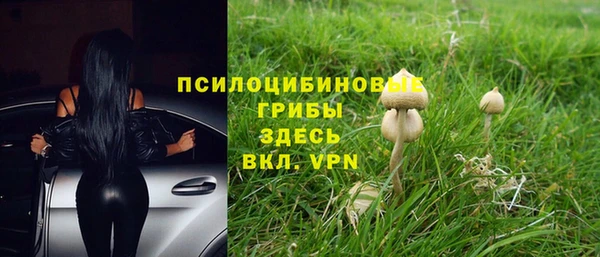 стаф Армянск