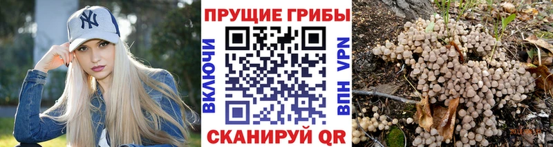 площадка какой сайт  Белогорск  Галлюциногенные грибы мухоморы 