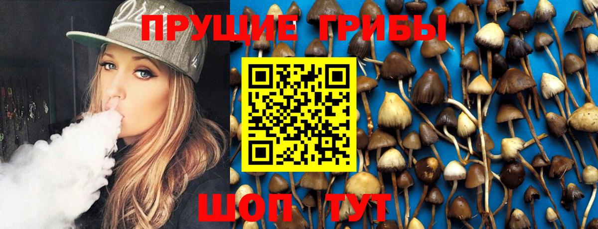 как найти наркотики  Псилоцибиновые грибы Psilocybe  Белогорск  Вход с VPN  Галлюциногенные грибы Psilocybine cubensis 